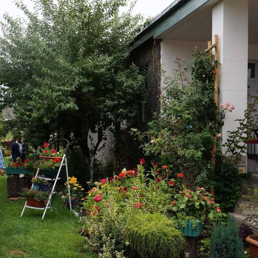 Leila'S Guest House Joqolo 外观 照片