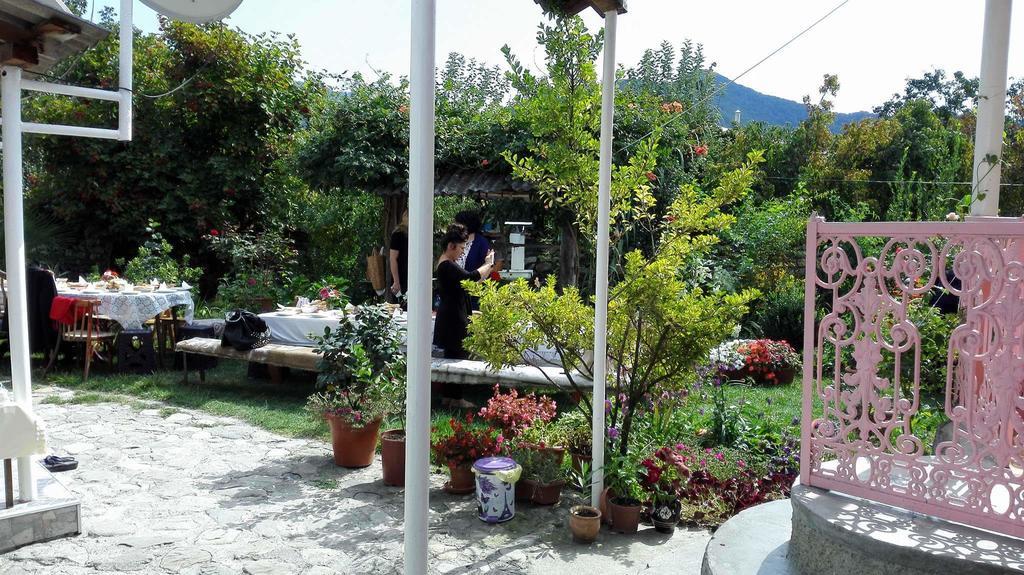 Leila'S Guest House Joqolo 外观 照片